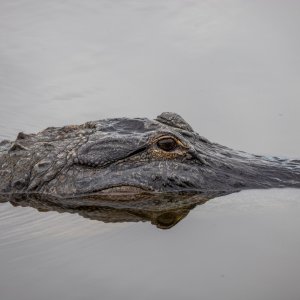 IMG_0431.jpg