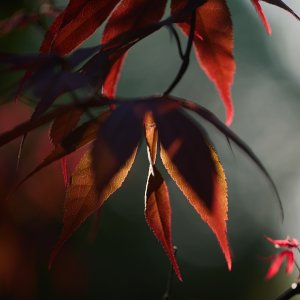 2025-04-28 ~ _R5_2845.jpg