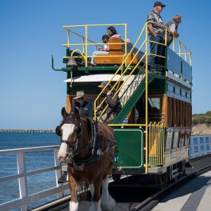 _7RV0116_Horse_Drawn_Tram_On_New_Causeway.jpg