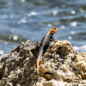 Biscayne NP - 2500px-3.jpg
