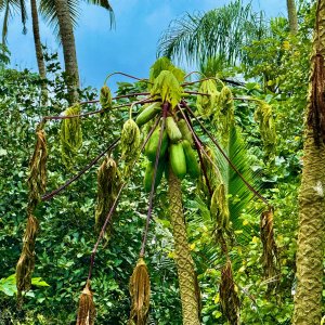 IMG_3770.jpeg