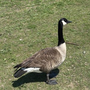 IMG_7997.jpeg