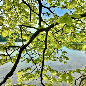 IMG_4447.jpeg