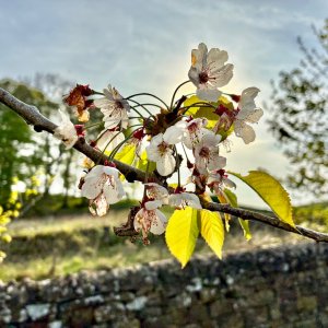 IMG_4482.jpeg