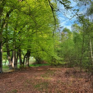 IMG_4664.jpeg