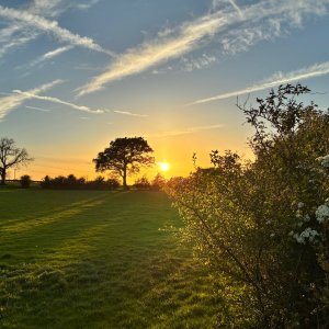 IMG_4734.jpeg