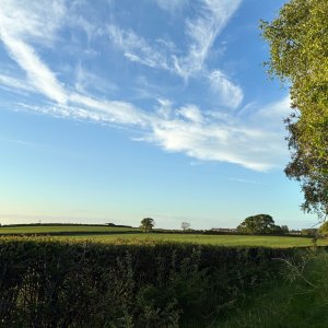 IMG_4720.jpeg