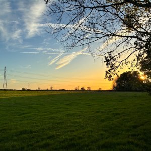 IMG_4730.jpeg