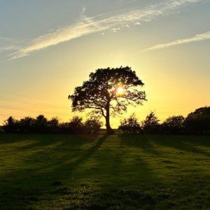 IMG_4723.jpeg