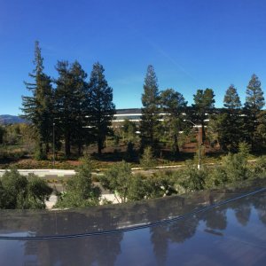 IMG_6847.jpeg