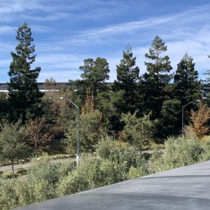 IMG_4330.jpeg