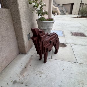 IMG_6730.jpeg