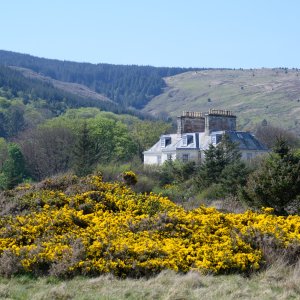 SaddellHouse20250430.jpg