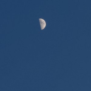 IMG_0228.jpeg