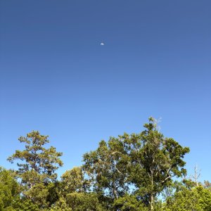 IMG_1462.jpeg