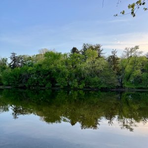 IMG_6761.jpeg