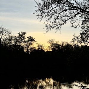 IMG_6766.jpeg