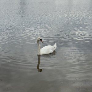IMG_0270.jpeg