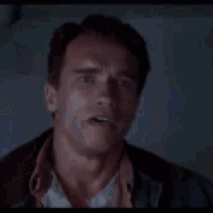 IMG_2088.gif