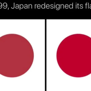 1747087186851.png