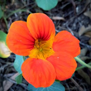 IMG_20250508_172534 xv.jpg