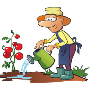 gardener-watering-tomatoes2.png