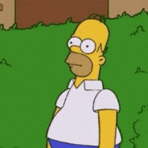 homer-simpson-the-simpsons-2527225729.gif