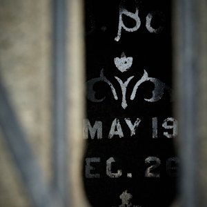 2025-05-18 ~ R52_2432.jpg