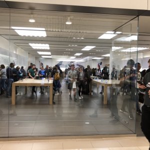 Apple Store.jpeg
