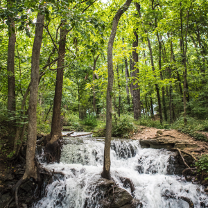 Screenshot 2025-05-19 at 22.17.40.png