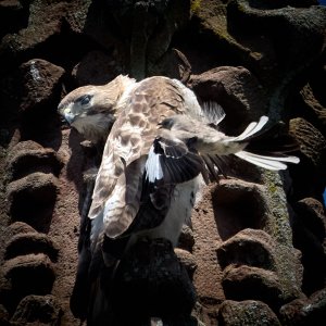 2025-05-20 ~ R52_3259.jpg