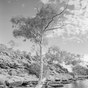 Ilford_SFX_200_Kings_Canyon_2.jpg