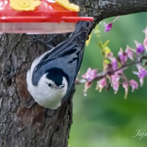 IMG_4576.jpg