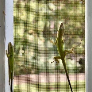 IMG_1847.jpg