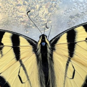 IMG_3389.jpeg