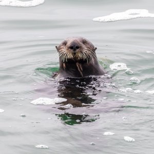 IMG_0746.jpg