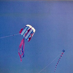kites - 1.jpeg