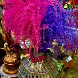 IMG_4529.jpeg