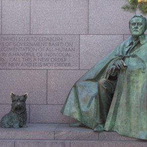 PB252381.jpg
