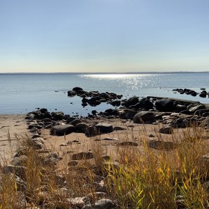 IMG_0037.jpeg