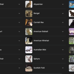 250529-cats.png