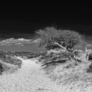 Southwest Coast Path Studland Beach May 2025 - BW.jpeg