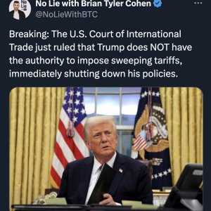 Block by Laws.jpg