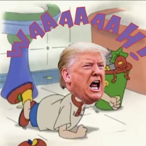 caillou trump.jpg