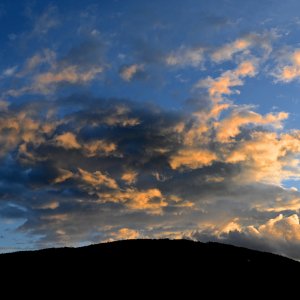 DSC_0221.jpg