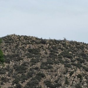 IMG_1306.jpeg