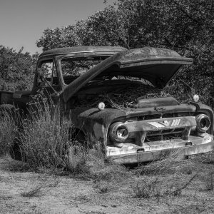 rusty truck 1086 rw 8.29.22 xbw.jpg