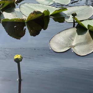 IMG_1860.jpeg