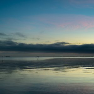 Oyster Point-250323-2.jpg