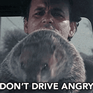 dont-drive-angry-bill-murray.gif